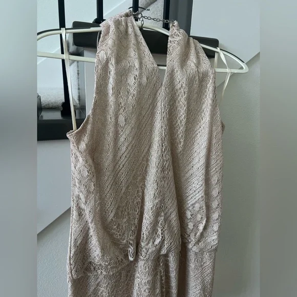 SLNY Shimmery Champagne Dress with Fringe - Picture 7 of 9